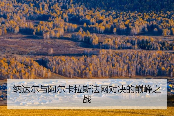 na-da-er-yu-a-er-ka-la-si-fa-wang-dui-jue-de-dian-feng-zhi-zhan-2-820.jpg